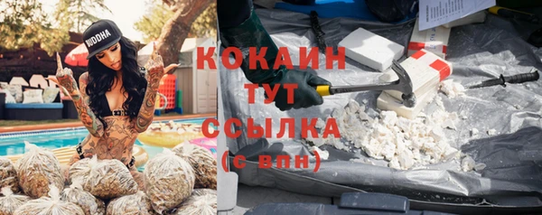 соль курить ск Кукмор