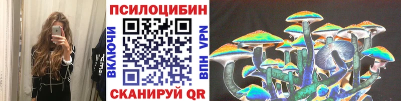 Купить  Володарск  Псилоцибиновые грибы Psilocybe 